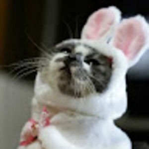 Meet your Posher, Jeffrey